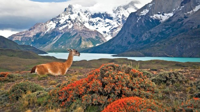 Torres del Paine-Tauck Patagonia