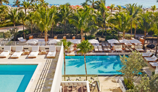 The James Royal Palm.