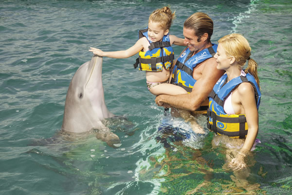 The onsite Dolphin Discovery offers families three experiences, including swimming with the dolphins.