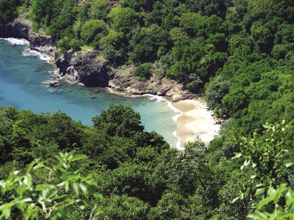 Beachside on Les Saintes.