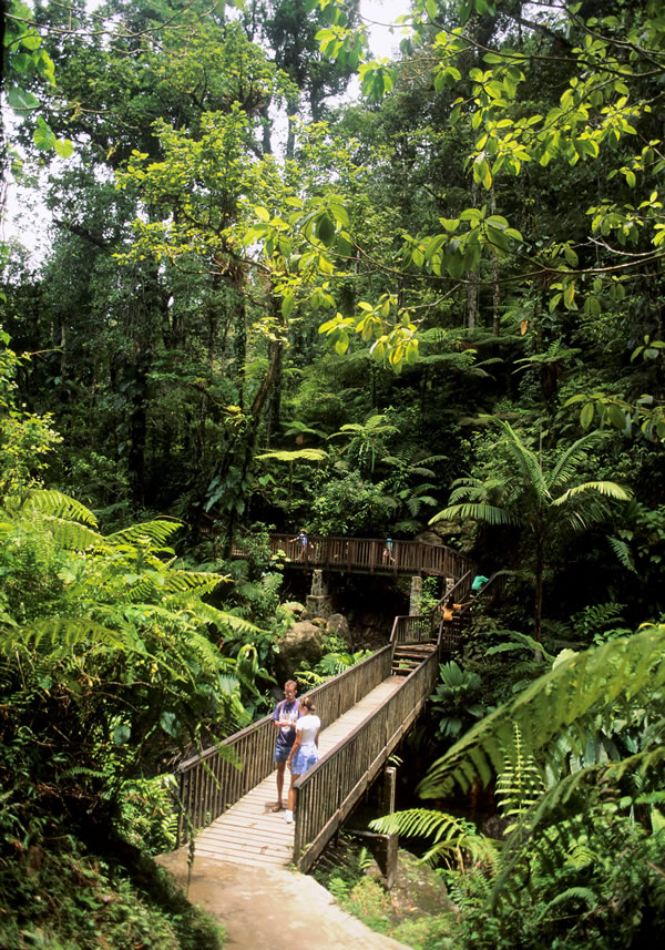 Forest trails and Carbet Falls on Basse-Terre.