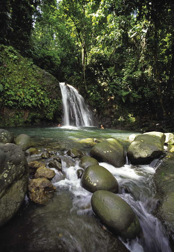 La Cascade aux Ecrevisses on Basse-Terre.