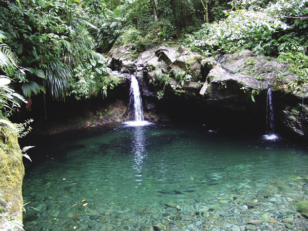 Paradise Cascade on Basse-Terre.