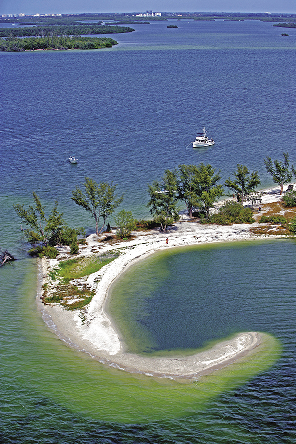 Lee County Visitor & Convention Bureau