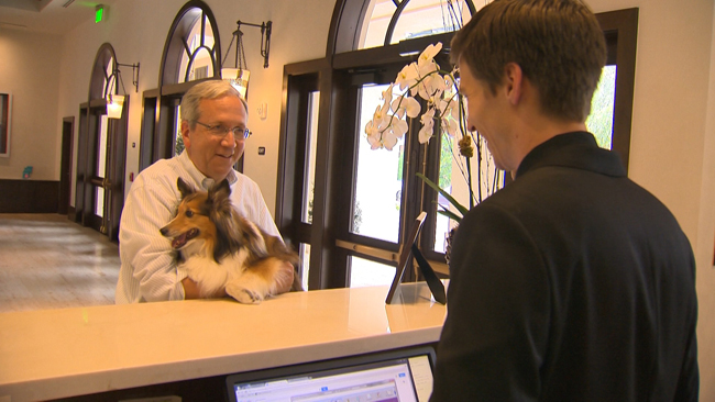 Four-legged friends are welcomed at The Alfond Inn.