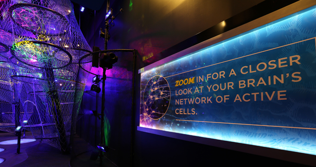 The Your Brain exhibit at The Franklin Institute.