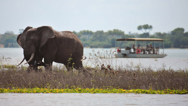 Selous Game Reserve.