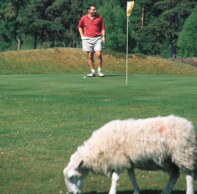 Golf-themed cruise through Scotland with European Waterways.