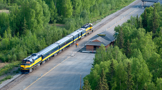 Travelrs visit Denali National Park by train.