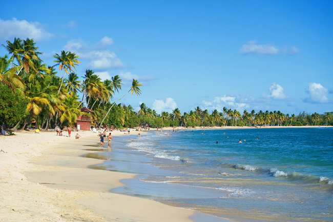 Martinique's Grande Anse des Salines beach.