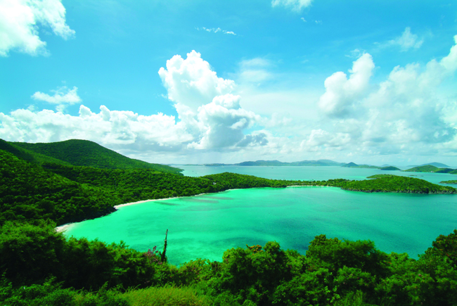Aerial view of Hawksnest Beach St. John.