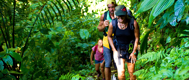 Nature lovers have an array of hiking trails to explore in Martinique.