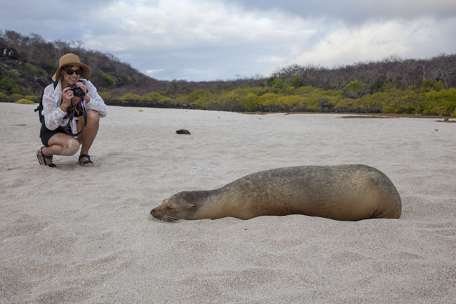 International Expeditions is offering its Oct. 7, 10-day Galapagos cruise at a discounted rate.