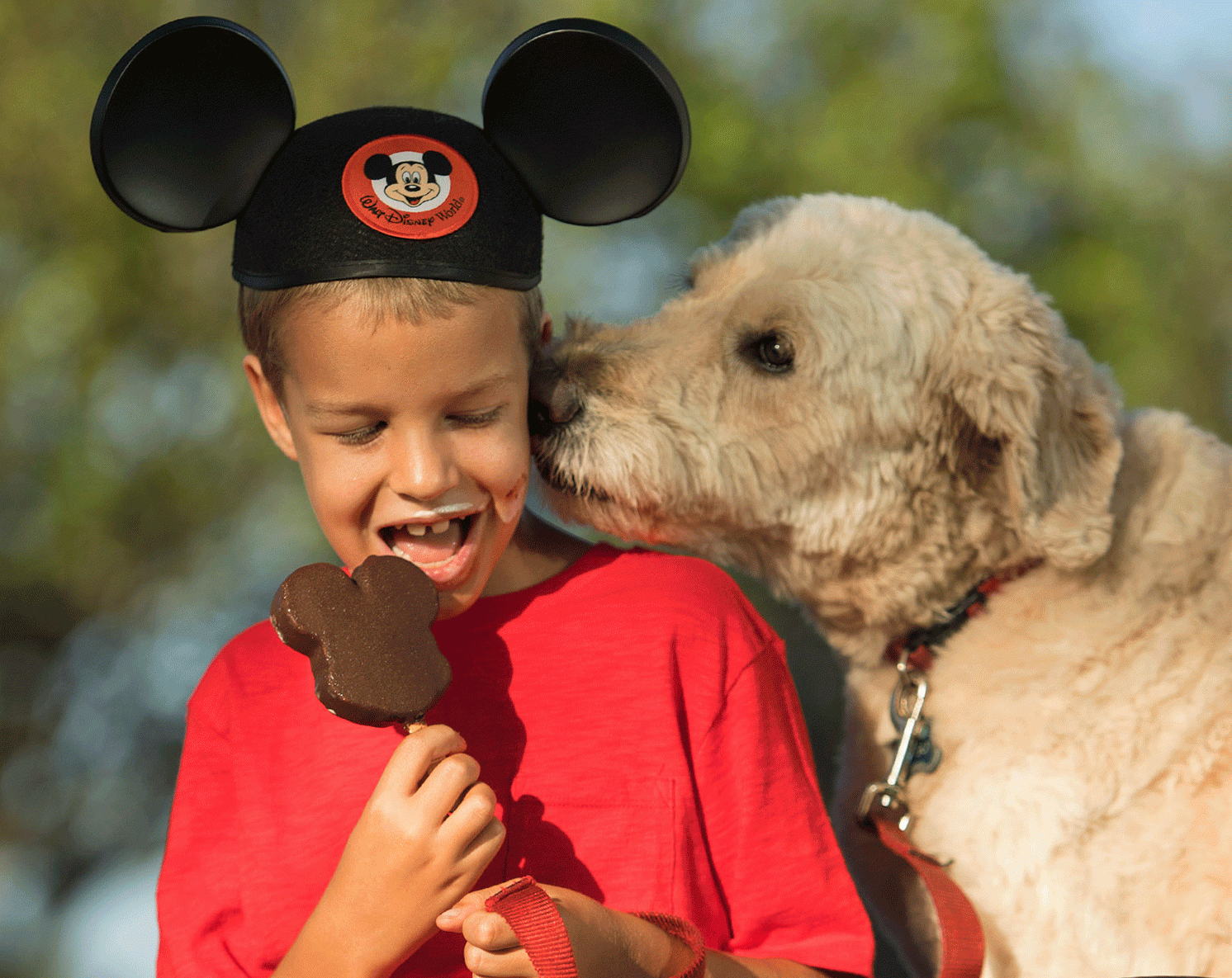 dogs at disney world walt disney world welcomes dogs at select hotels recommend dogs at disney world walt disney world welcomes dogs at select hotels recommend