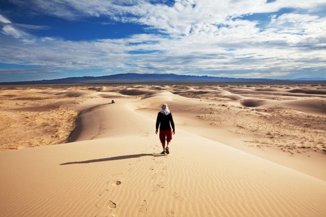 The Gobi Desert