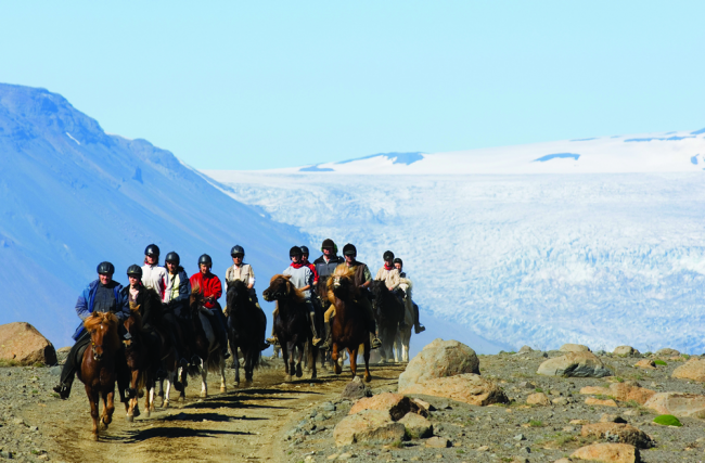 Icelandic horses with Langjokull glacier