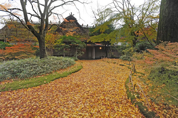 The driveway at Kamenoi Bessou in Yufuin covered with fallen autumn leaves.