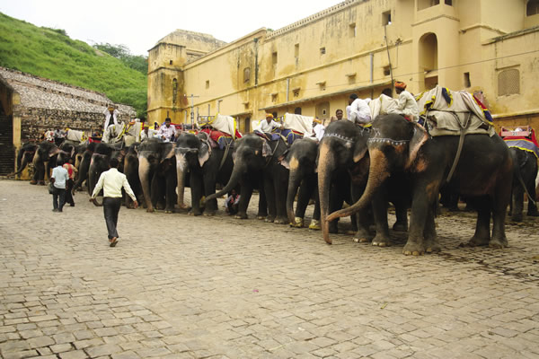 Greaves Tours offers an extensive list of itineraries to India's myriad destinations.