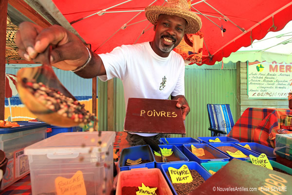 Guadeloupe Islands Specialist and Incentive Program