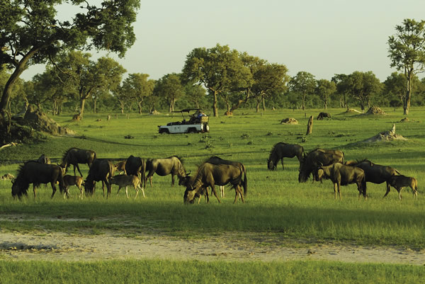 Zimbabwe's wildlife viewing is tops in Southern Africa.