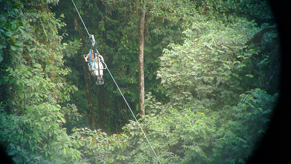 Gliding over the treetops in Ecuador.