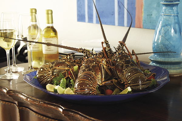 Anguilla's Spiny lobster