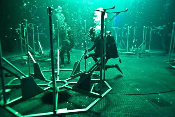 Dive with Le Reve