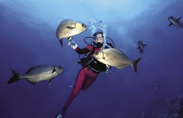 Diving in Cozumel