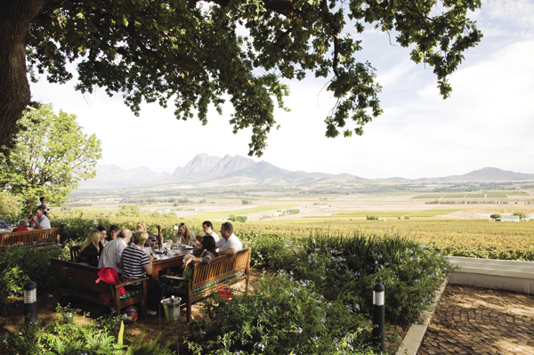 Seidelberg Wine Estate in the Cape Wine Route.