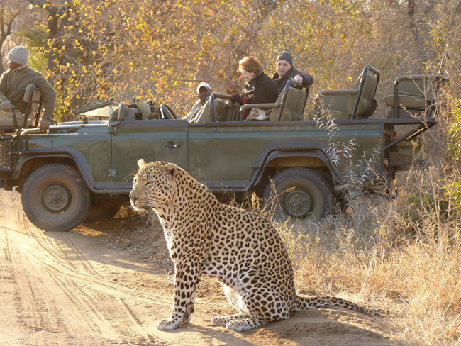 A leopard spotting during a safari through Thronybush. (Photo courtesy ofGeneral Tours World Traveler.)