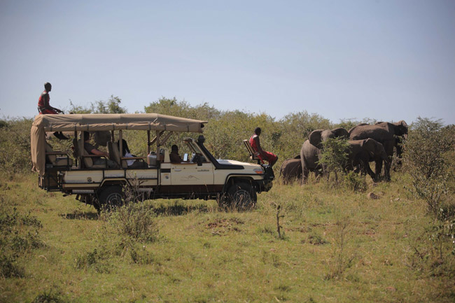 Mara Bushtops Camp Game Drive. (Photo courtesy of African Travel, Inc.)