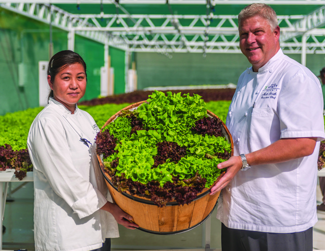 Chefs with lettuce from the hydroponic garden at Grand Hyatt Kauai Resort & Spa.