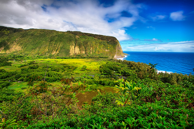 Waipio Valley view in Hawaii. (Photo credit: Estivillml/Fotolia.)