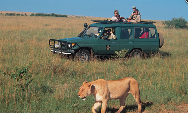 The Masai Mara Game Drive in Kenya.