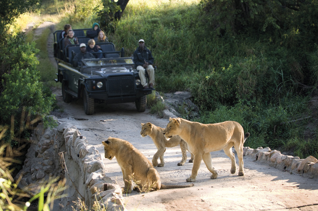 A safari drive with African Travel, Inc.