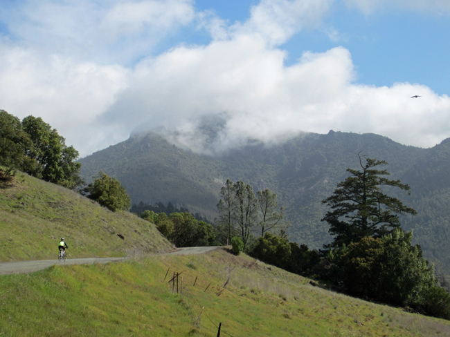 Ida Clayton Road in Calistoga, California. (Photo Credit: Pure Adventures)