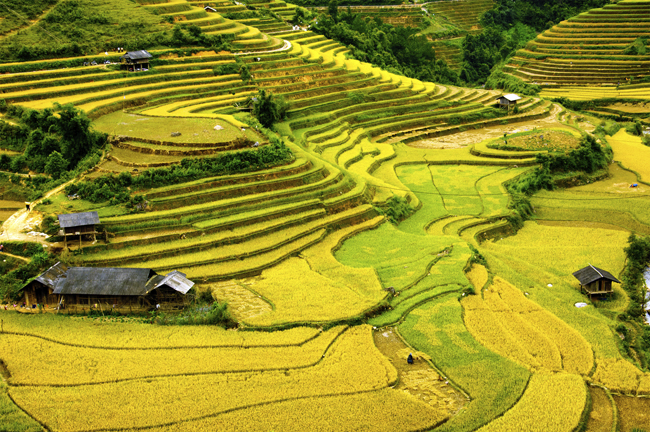 Kensington Tours’ new Vietnam Mountains & Islands itinerary takes guests all the way from remote mountain villages to the country's white sand beach in 12 days.