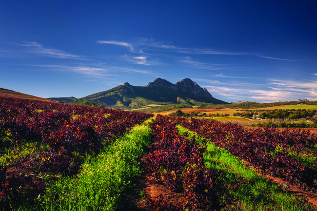 South African Airways Vacations offers self-drive tours of South Africa’s Garden Route.