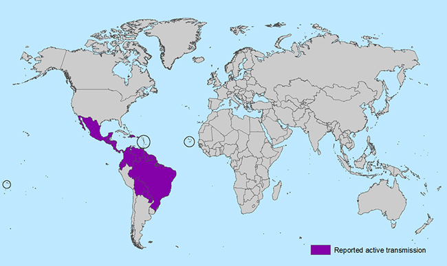 Countries and territories with active Zika virus transmission. (Photo credit: Centers for Disease Control and Prevention)