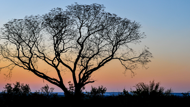 Livingstone, Zambia is one of the many towns guests visit on Travcoa’s 10-day Southern Africa Explorer: Botswana & Zambia tour.