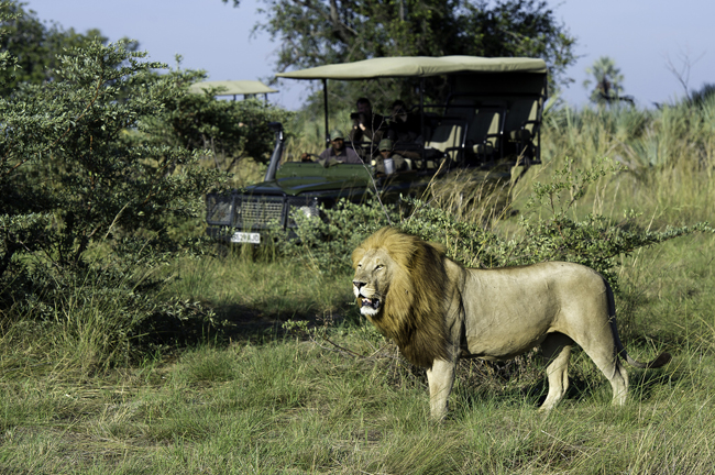 Wild Planet Adventures has created seven new itineraries in celebration its 25th anniversary. (Photo credit: Wild Planet Adventures)