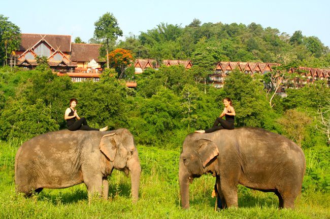 Anantara Golden Triangle Elephant Camp & Resort Where Wellness Meets Nature holistic program includes activities such as elephant yoga.