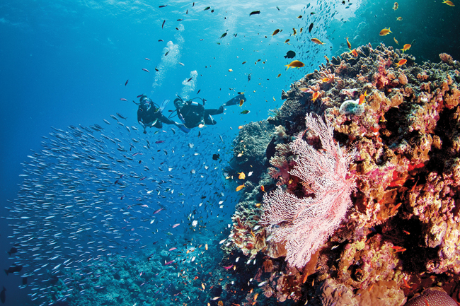 Silversea Expeditions' Scuba Diving Expedition Voyages take place in top diving sites, including Australia's Great Barrier Reef. (Photo credit: Tourism and Events Queensland)