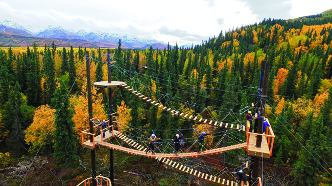 Denali Park Zipline.