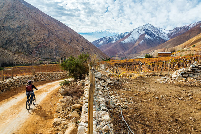 Guests have the option to bike ride through Chile's wine country on andBeyond's the best of Chile tour.