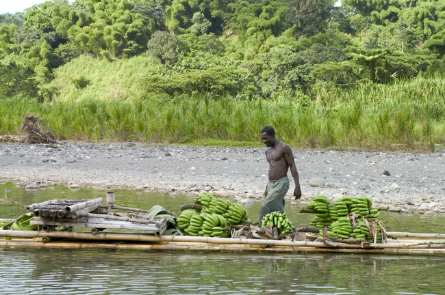 A local on a banana boat at Port Antonio in Jamaica. (Photo credit: Ed Wetschler)