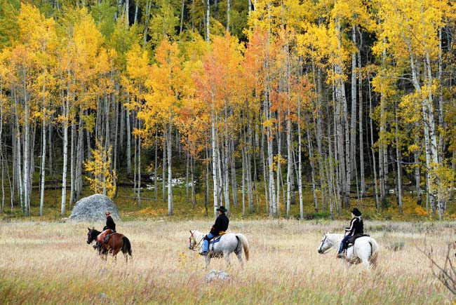 Vista Verde Guest Ranch's all-inclusive rates include guided activities such as horseback riding.