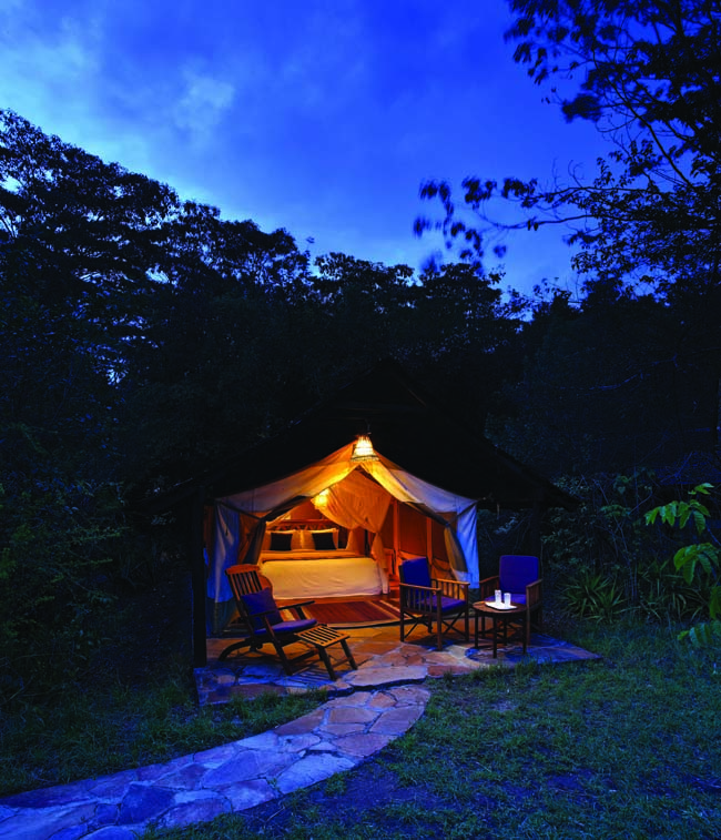 Savova Mara Camp, Great Safaris.