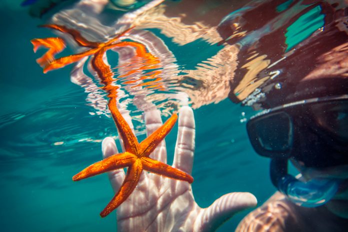 G Adventures’ Summer Escape Sale include the 8-day Sailing Croatia: Dubrovnik to Split tour where guests can snorkel. (Photo credit: G Adventures, Inc.) G Adventures’ Summer Escape Sale include the 8-day Sailing Croatia: Dubrovnik to Split tour where guests can snorkel. (Photo credit: G Adventures, Inc.)