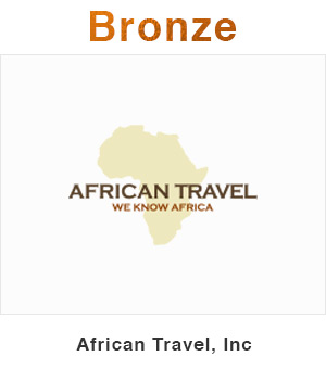 African Travel Bronze